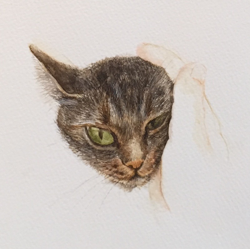猫の絵